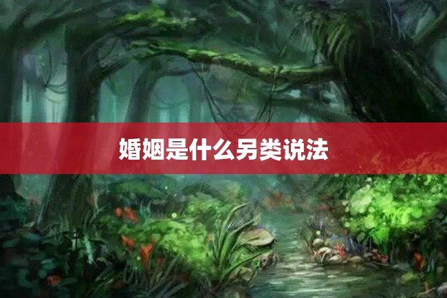婚姻是什么另类说法