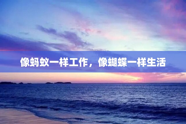像蚂蚁一样工作,像蝴蝶一样生活