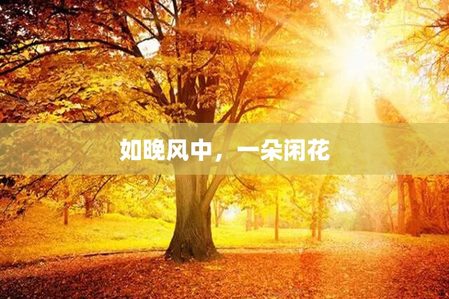 如晚风中,一朵闲花