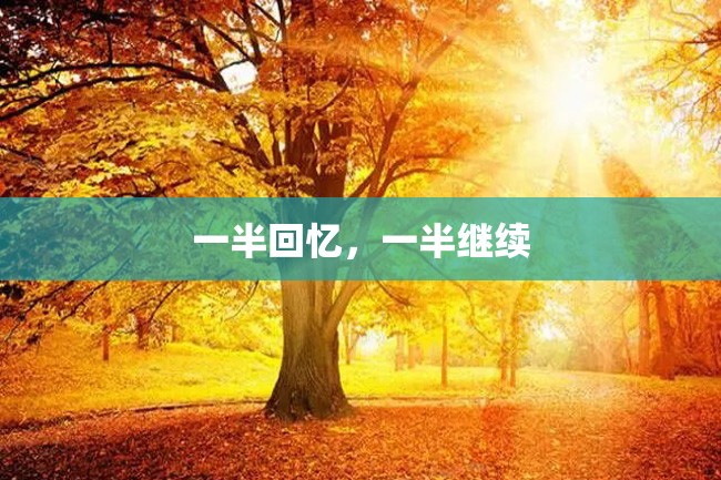一半回忆,一半继续