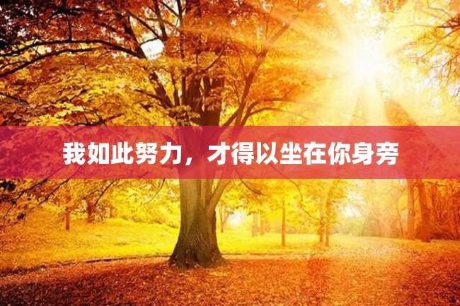 我如此努力,才得以坐在你身旁