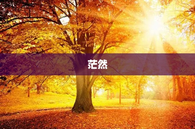 茫然
