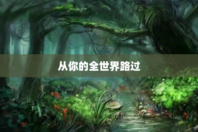 从你的全世界路过