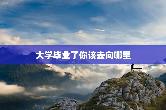 大学毕业了你该去向哪里