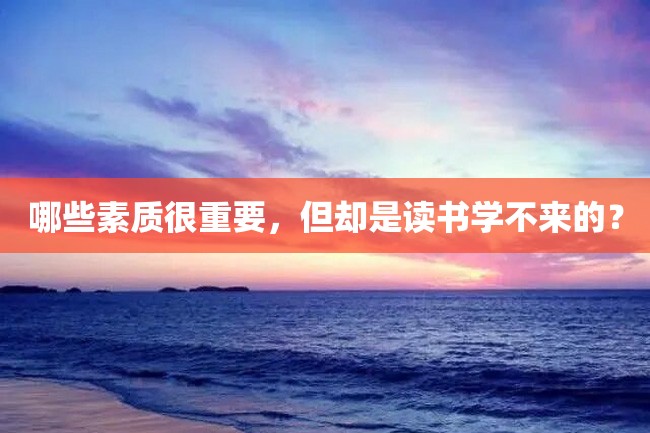 哪些素质很重要,但却是读书学不来的?