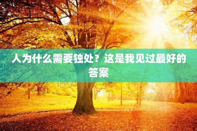 人为什么需要独处?这是我见过最好的答案