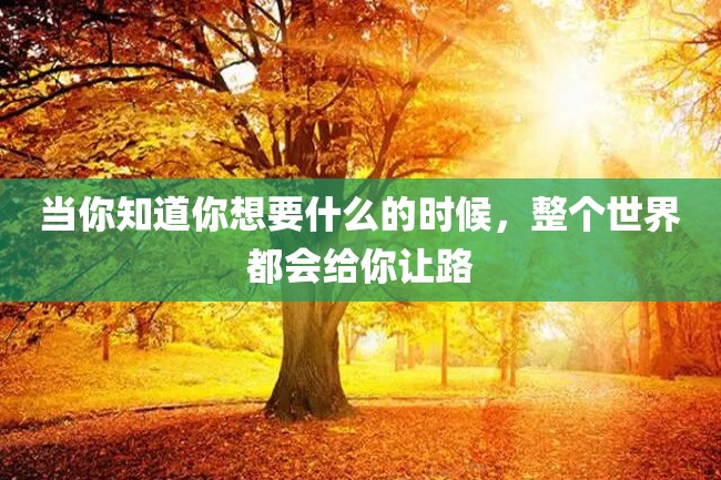 当你知道你想要什么的时候,整个世界都会给你让路