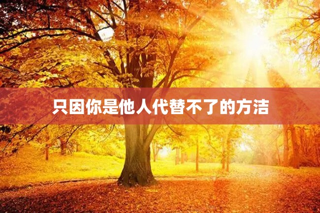 只因你是他人代替不了的方洁