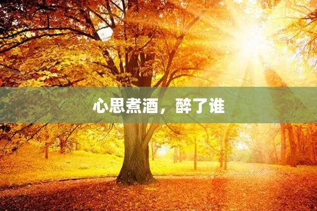 心思煮酒,醉了谁