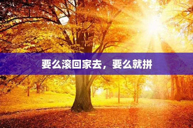 要么滚回家去,要么就拼
