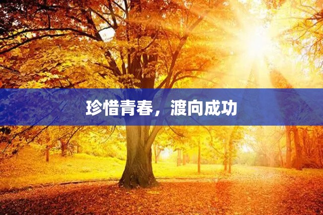 珍惜青春,渡向成功