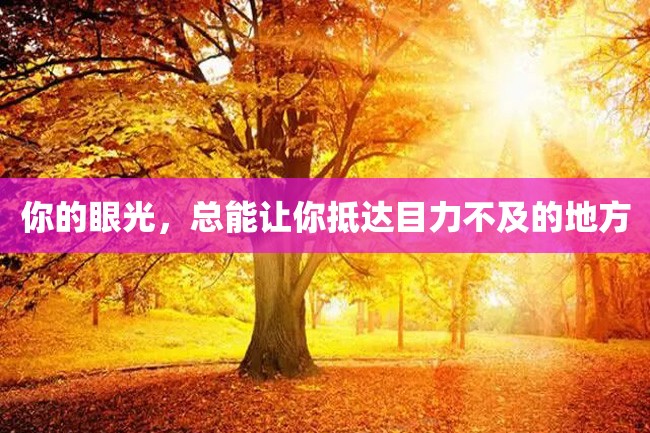 你的眼光,总能让你抵达目力不及的地方