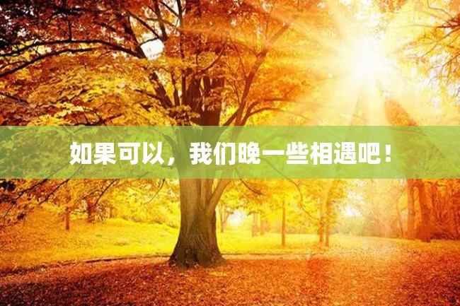 如果可以,我们晚一些相遇吧!