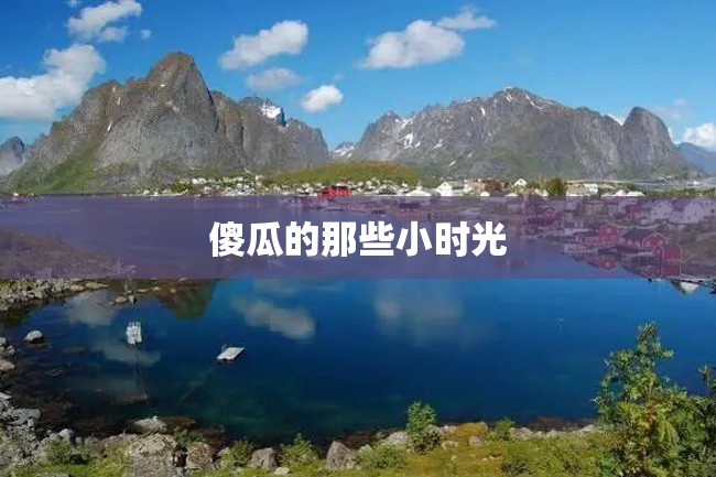 傻瓜的那些小时光
