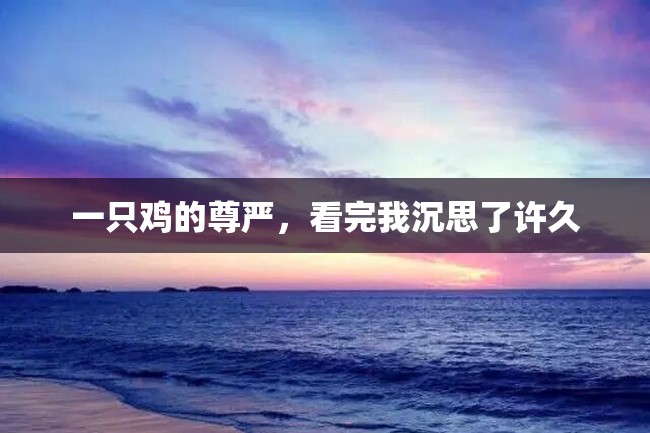 一只鸡的尊严,看完我沉思了许久