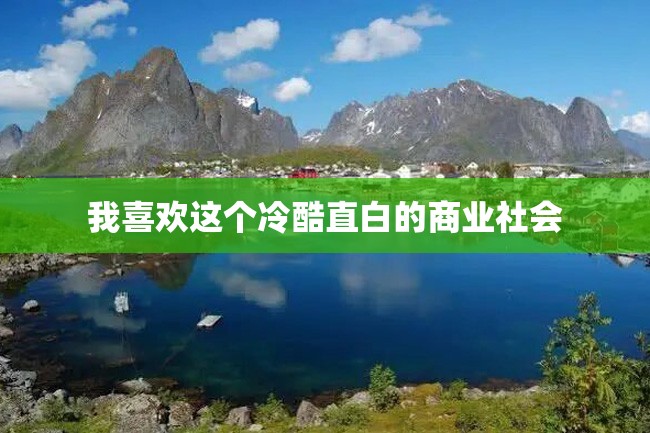 我喜欢这个冷酷直白的商业社会