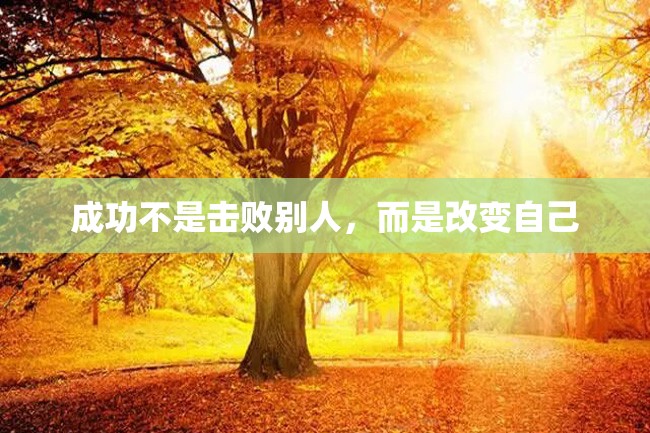 成功不是击败别人,而是改变自己