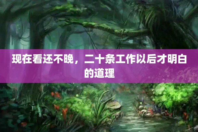 现在看还不晚,二十条工作以后才明白的道理