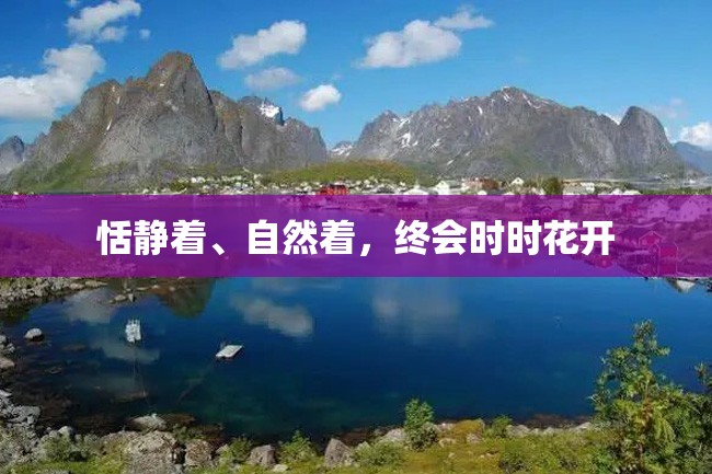 恬静着、自然着,终会时时花开