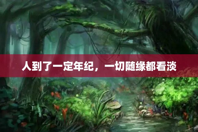 人到了一定年纪,一切随缘都看淡