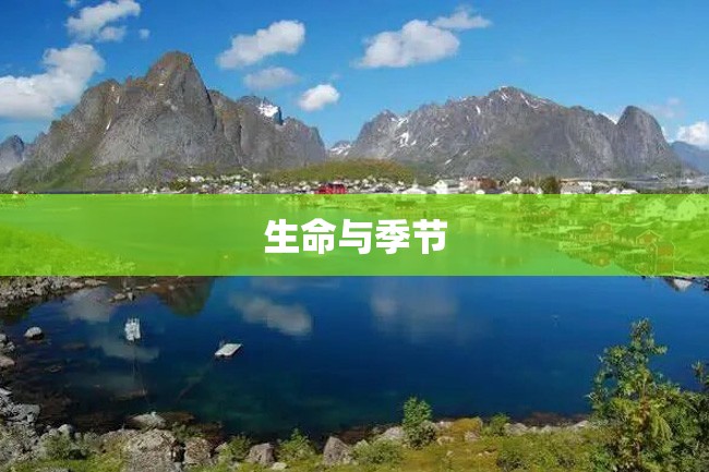 生命与季节