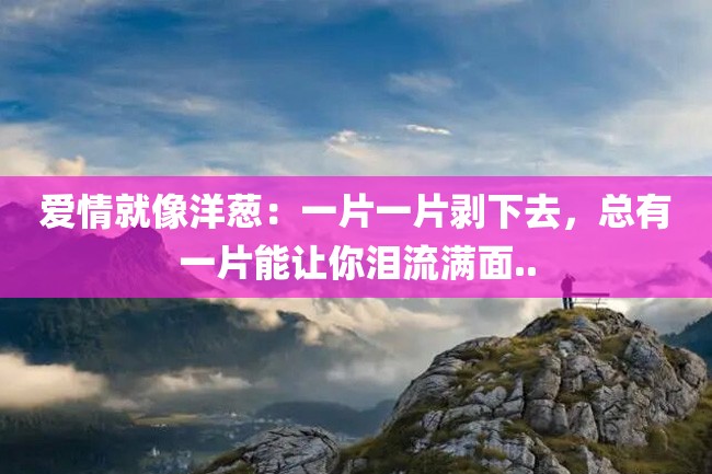爱情就像洋葱：一片一片剥下去，总有一片能让你泪流满面..