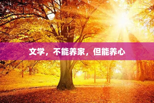 文学,不能养家,但能养心