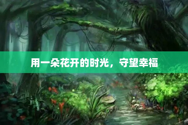 用一朵花开的时光,守望幸福