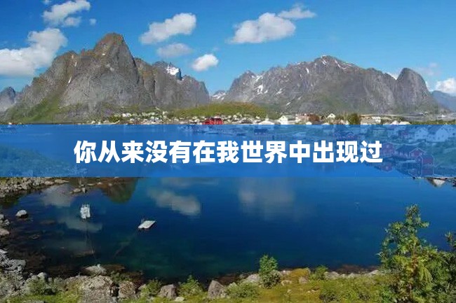 你从来没有在我世界中出现过