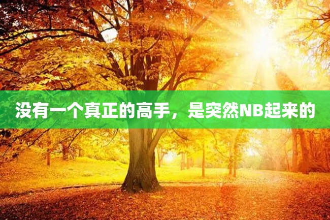 没有一个真正的高手,是突然NB起来的