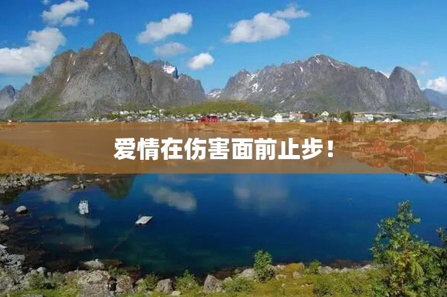爱情在伤害面前止步!