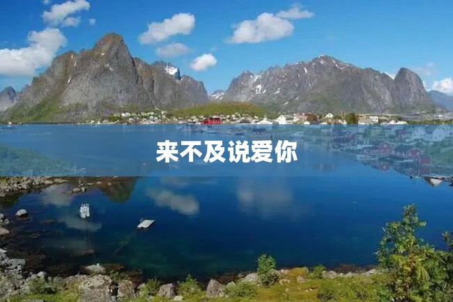 来不及说爱你