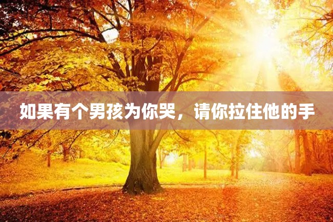 如果有个男孩为你哭,请你拉住他的手