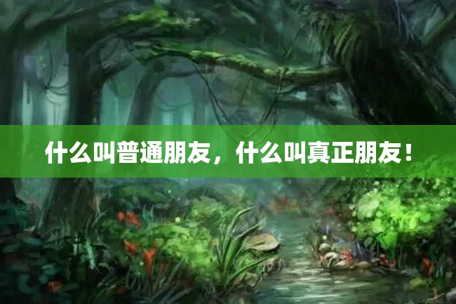 什么叫普通朋友,什么叫真正朋友!