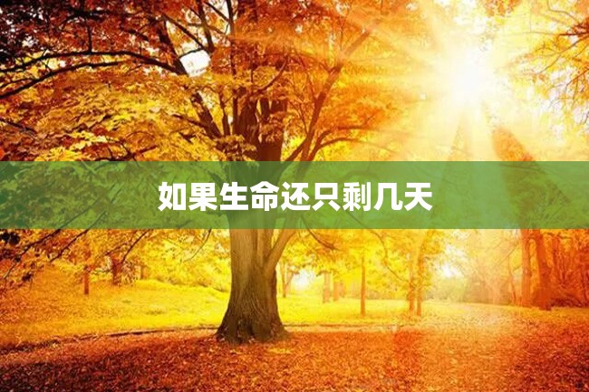 如果生命还只剩几天