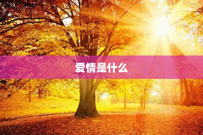 爱情是什么