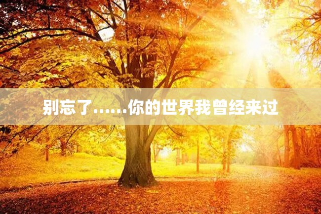 别忘了……你的世界我曾经来过