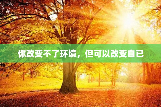 你改变不了环境,但可以改变自已