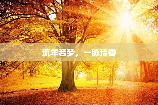 流年若梦,一脉诗香