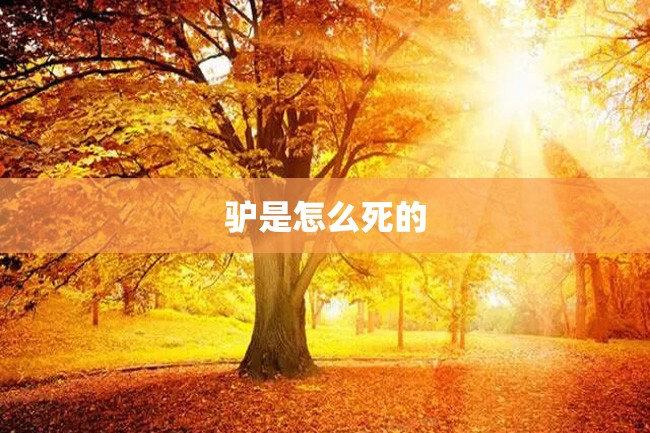 驴是怎么死的