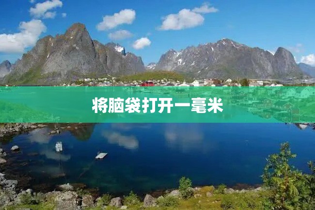 将脑袋打开一毫米