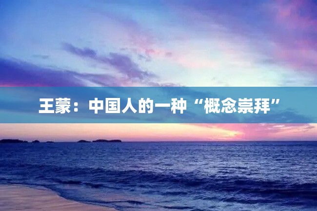 王蒙:中国人的一种“概念崇拜”