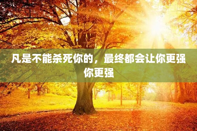 凡是不能杀死你的,最终都会让你更强你更强
