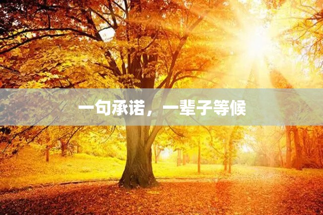 一句承诺,一辈子等候