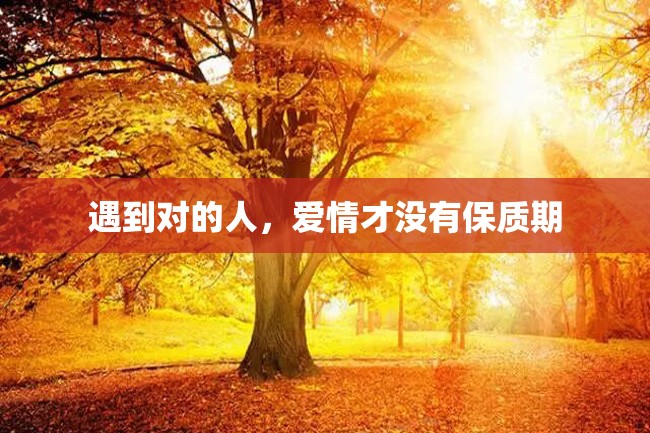 遇到对的人,爱情才没有保质期