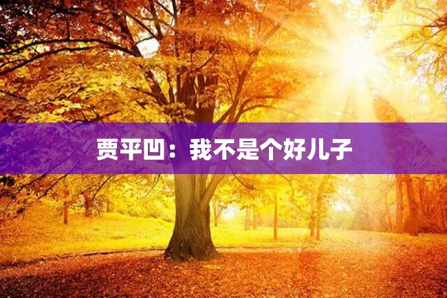 贾平凹:我不是个好儿子