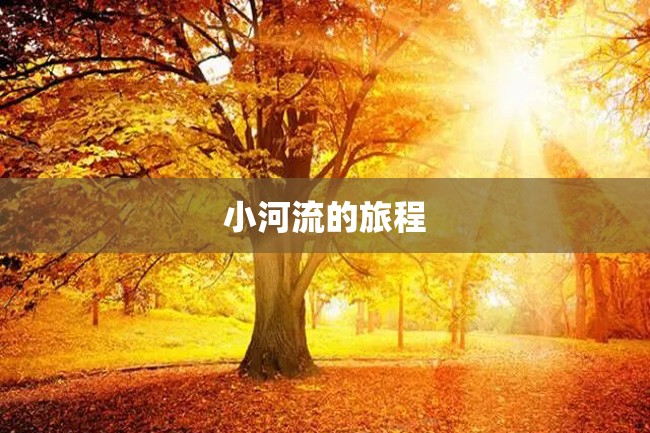 小河流的旅程