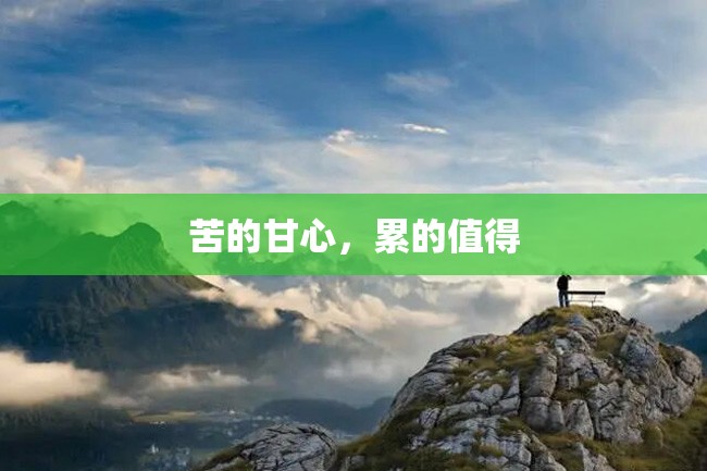 苦的甘心,累的值得