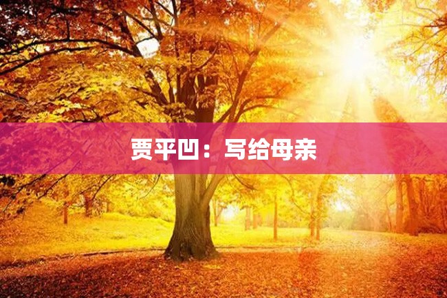 贾平凹:写给母亲