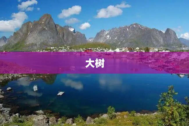 大树